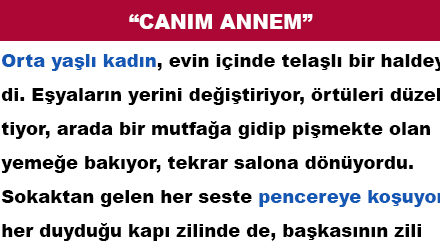 “CANIM ANNEM”