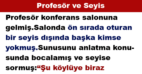 Profesör ve Seyis