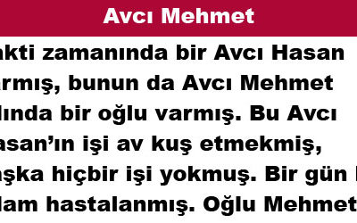 Avcı Mehmet