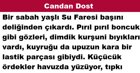 Candan Dost